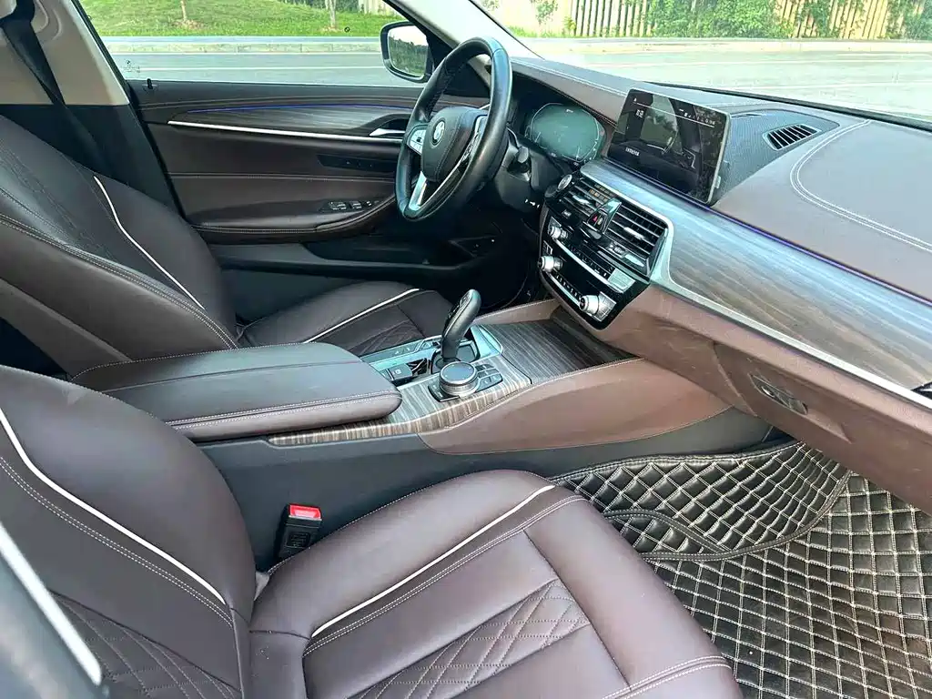 BMW 5 Series New Energy 2020 — фото 10