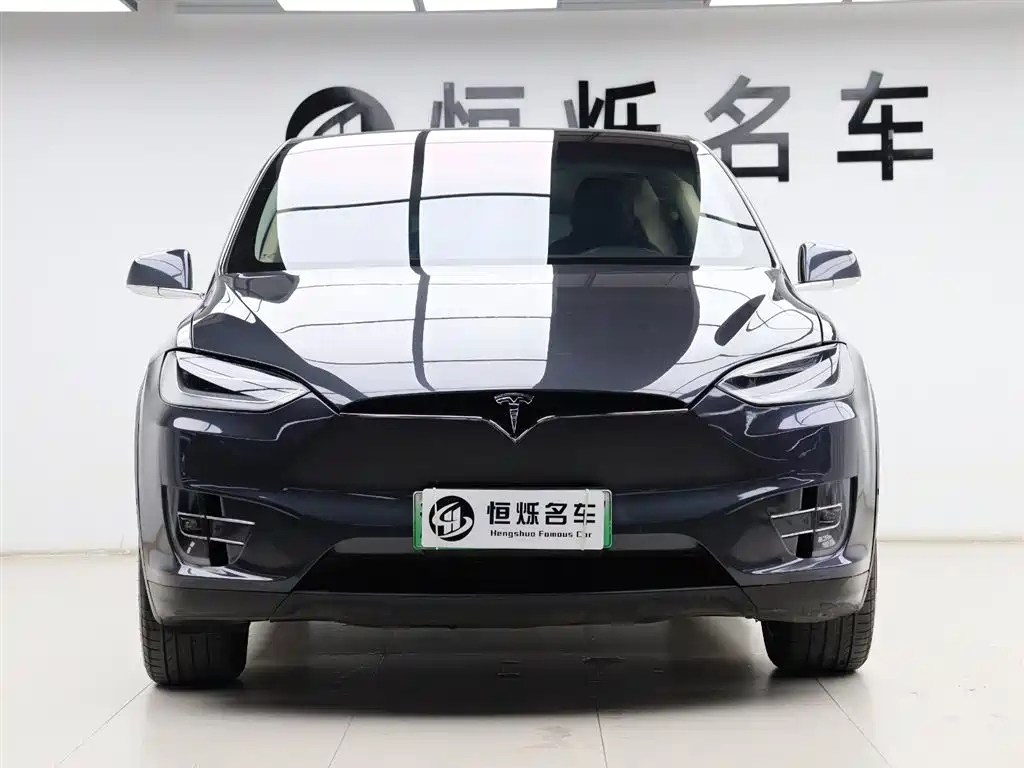 Tesla Model X 2017 — фото 23