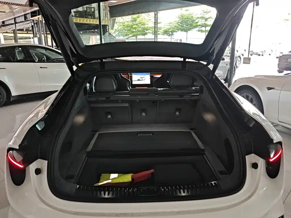 Lotus EMEYA 2024 — фото 19