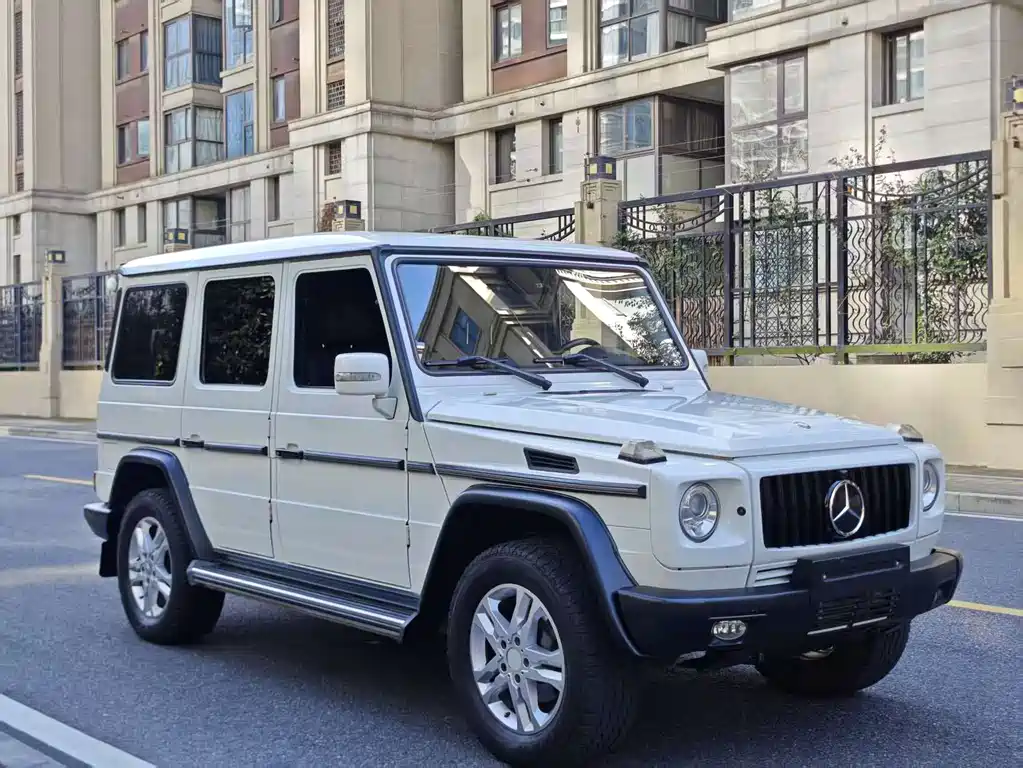 Mercedes-Benz G-Class 2012 — фото 2