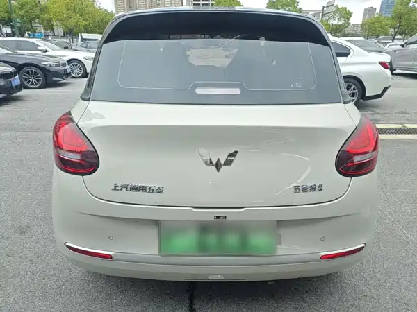 Wuling Bingo 2024