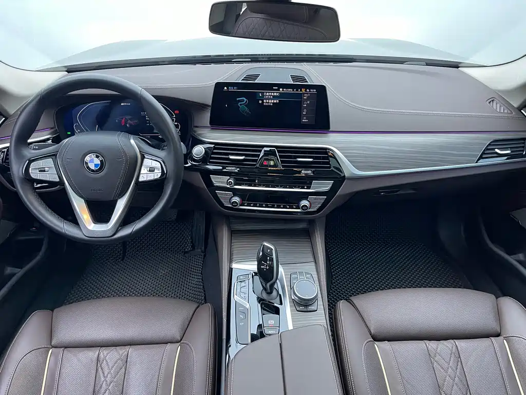 BMW 5 Series New Energy 2020 — фото 6