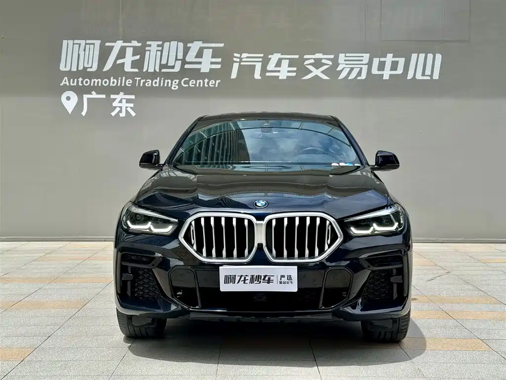 BMW X6 2023