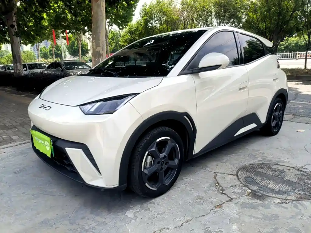 BYD Seagull 2024
