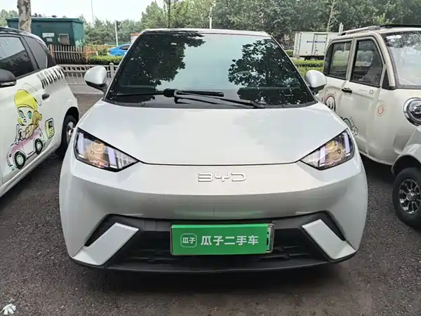 BYD Seagull 2024