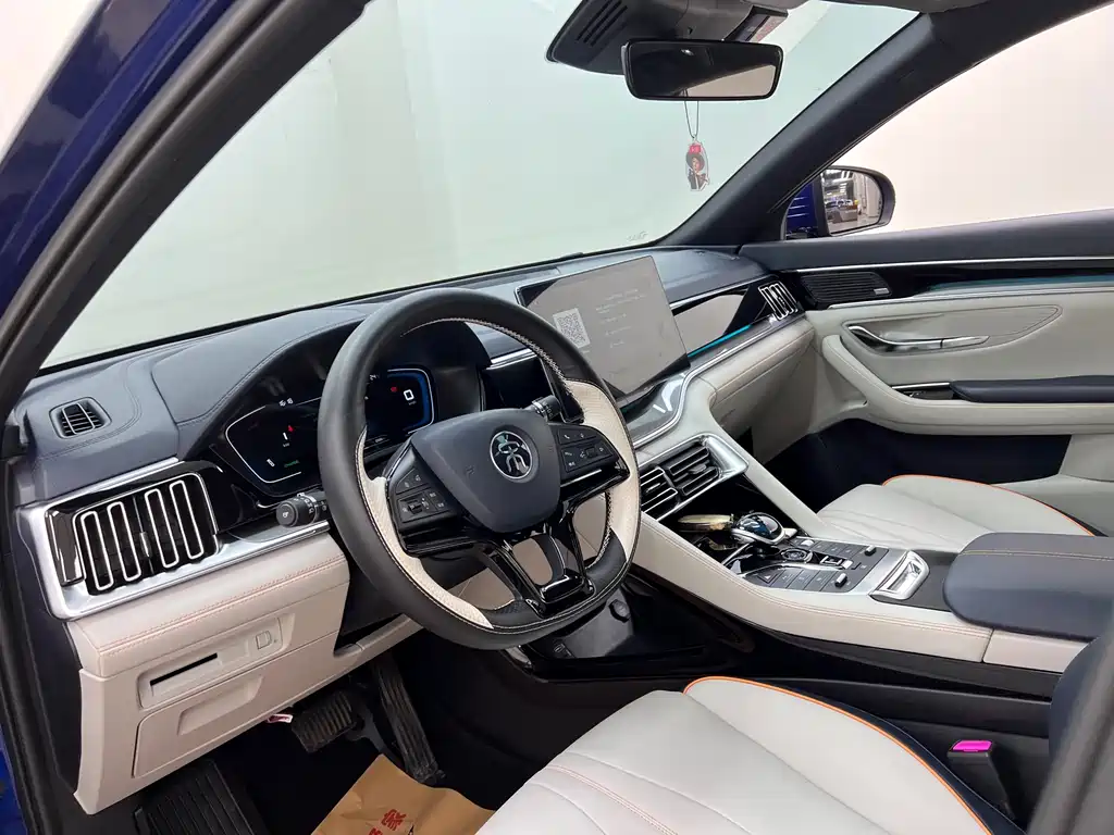 BYD PLUS New Energy 2022 — фото 14