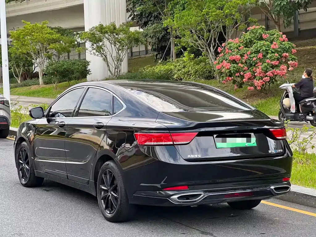 Geely Borui Hybrid 2020 — фото 5