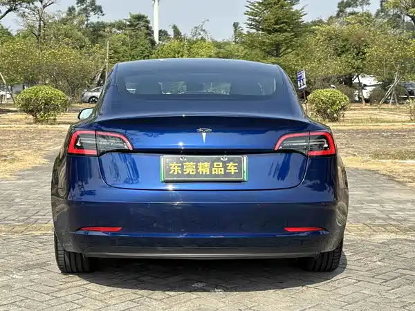 Tesla Model 3 2019