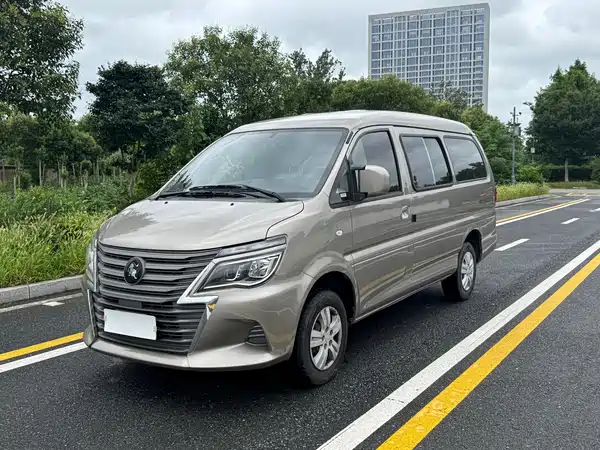 Dongfeng Lingzhi 2024