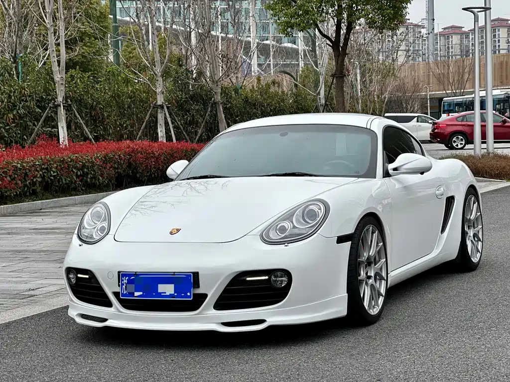 Porsche Cayman 2010 — фото 1