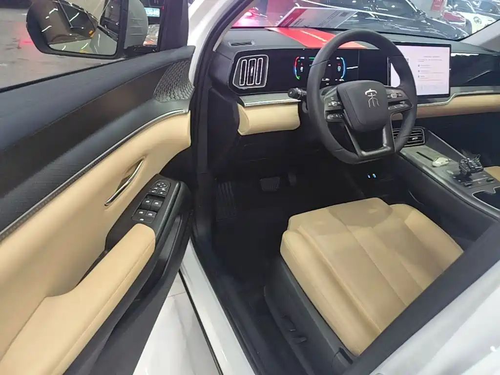 BYD Song Pro New Energy 2025 — фото 16