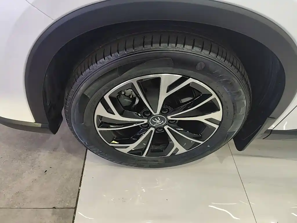 BYD Song Pro New Energy 2025 — фото 23