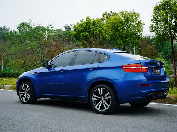 BMW X6 M 2010