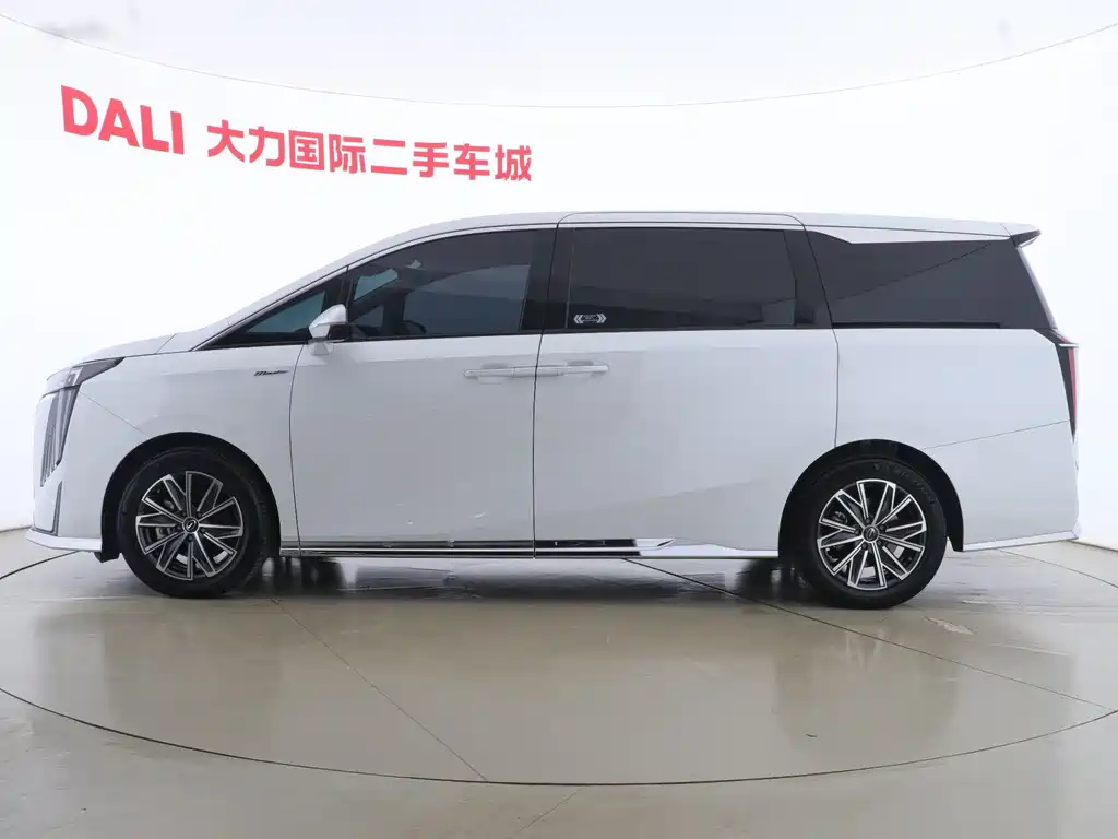 GAC Motor Trumpchi M8 2023 — фото 13