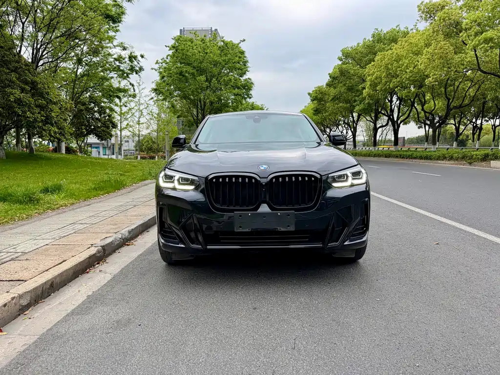 BMW X4 2023 — фото 2