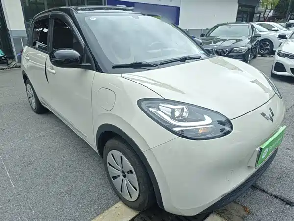 Wuling Bingo 2024