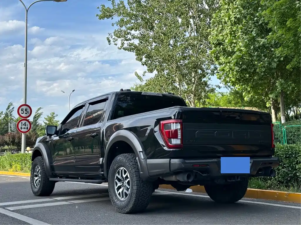 Ford F-150 Raptor 2024 — фото 17