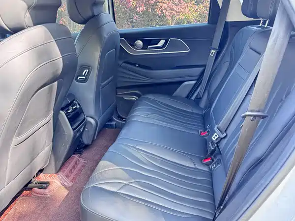 Chery Fengyun T9 2024