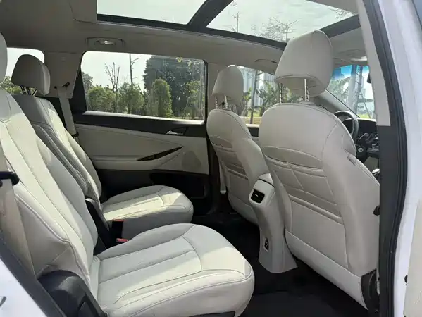 Buick GL6 2019