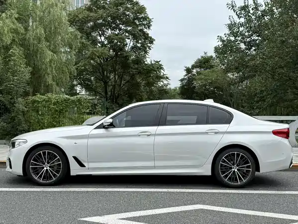BMW 5 Series 2019