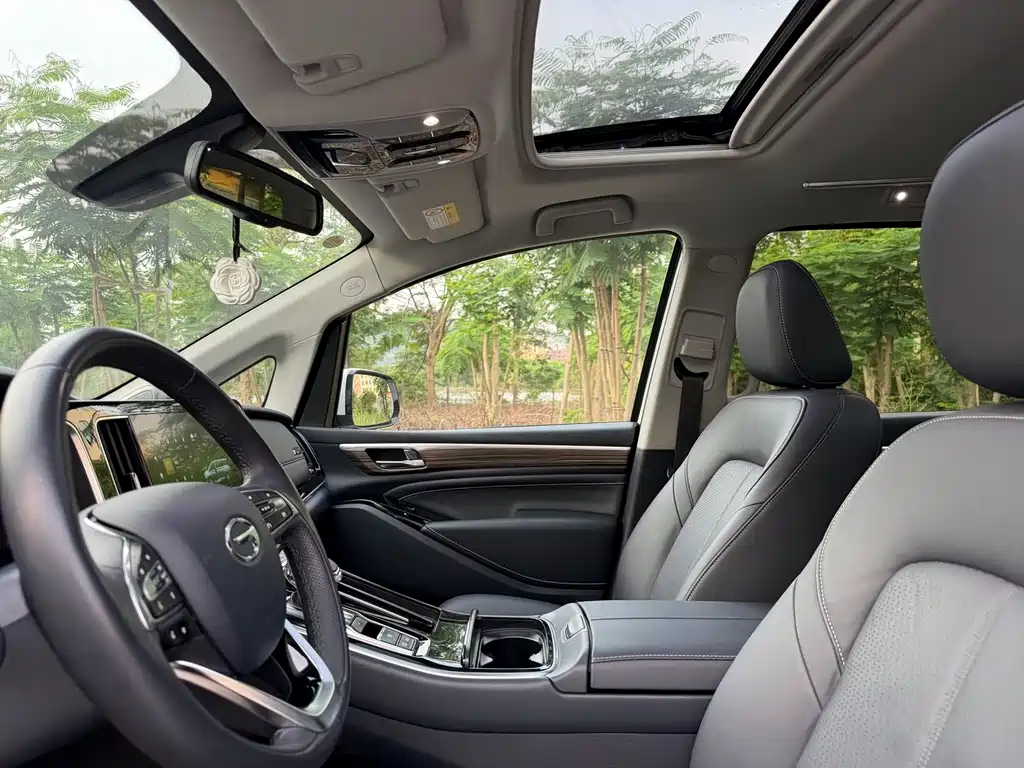 GAC Trumpchi M8 2021 — фото 10