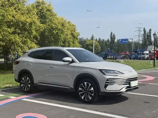 BYD Song PLUS New Energy 2024