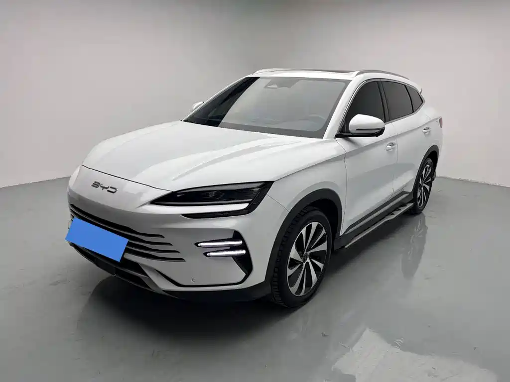 BYD PLUS New Energy 2024 — фото 1
