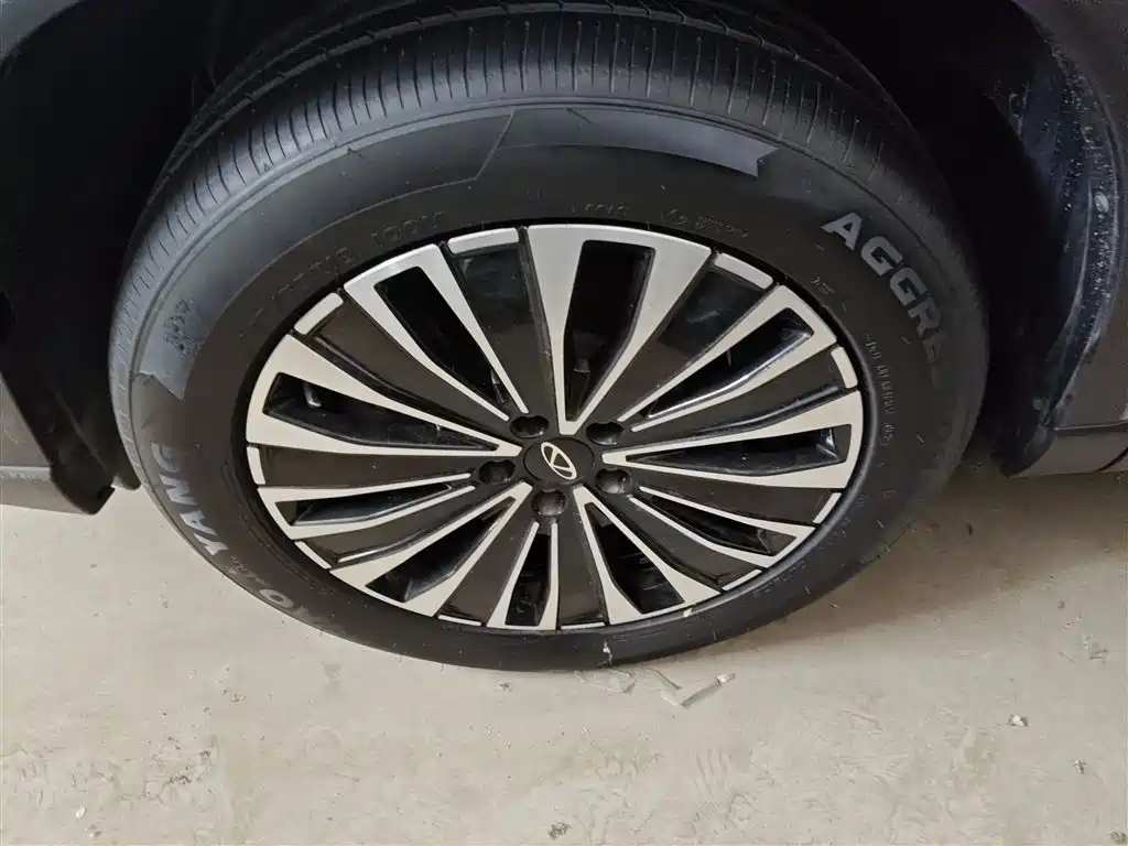 Chery Tiggo 8 PLUS C-DM 2025 — фото 23