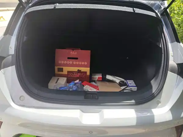BYD Dolphin 2022