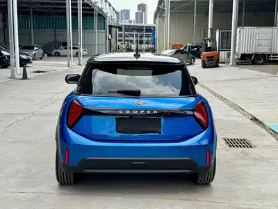 MINI MINI 2025