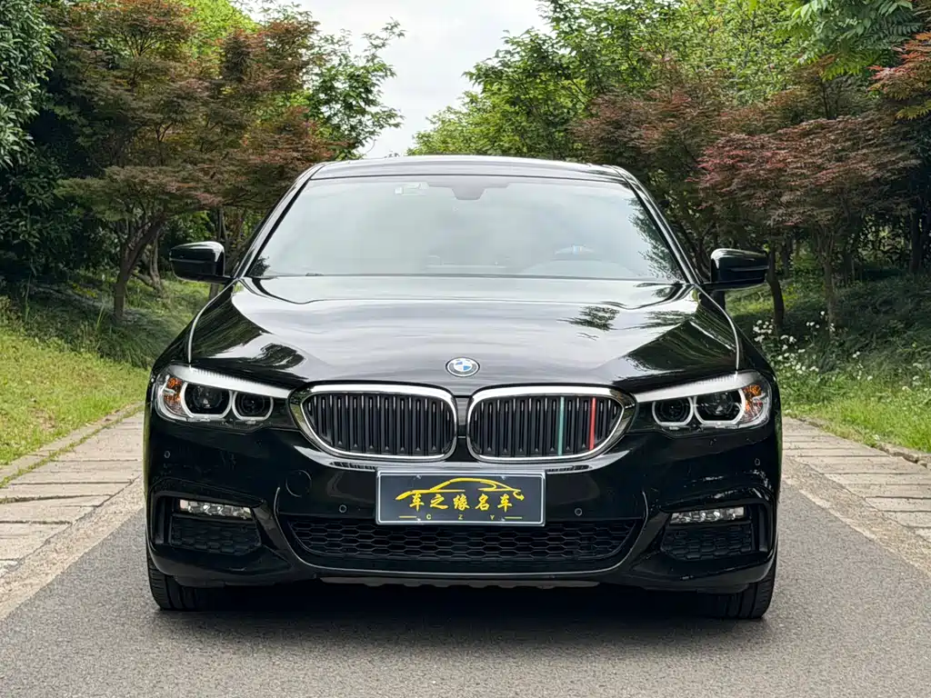 BMW 5 Series 2018 — фото 2