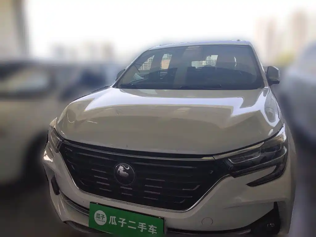Dongfeng Fengxing T5 2023 — фото 2