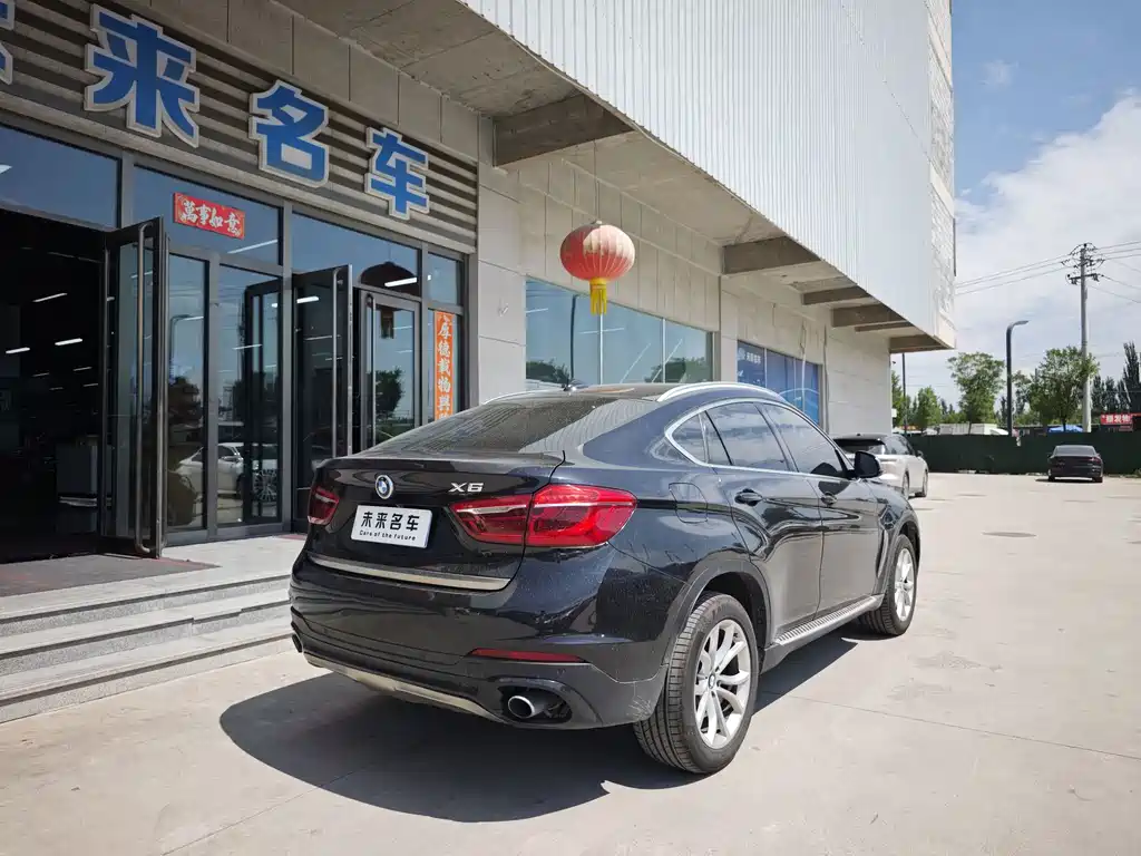 BMW X6 2017 — фото 14