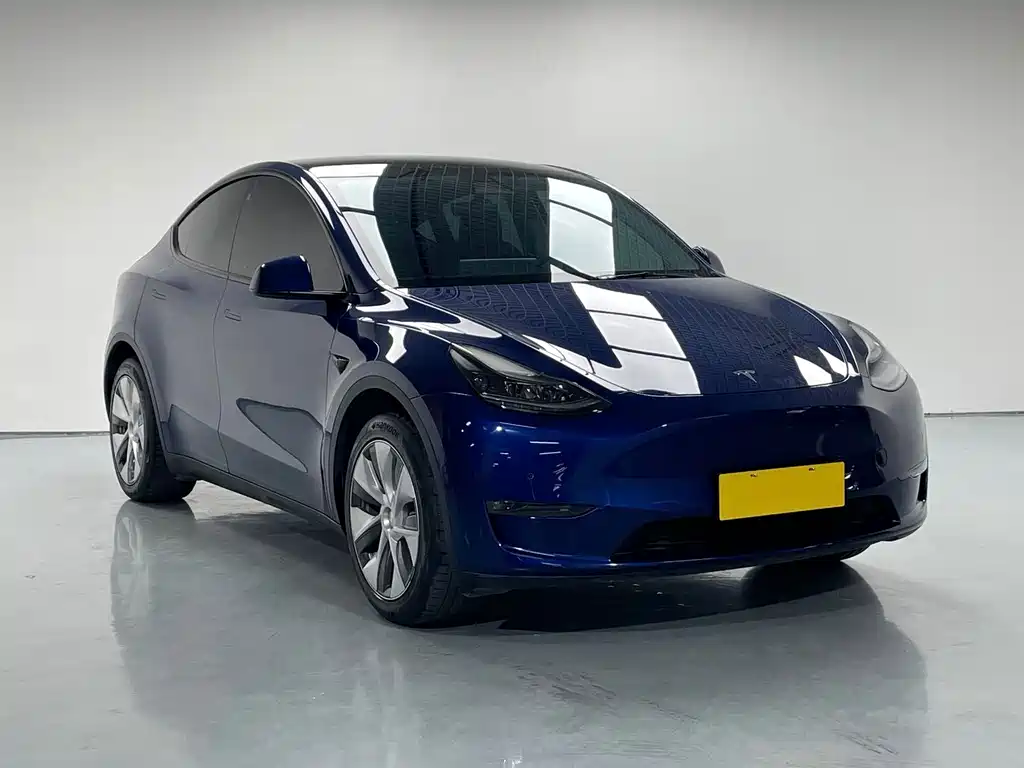 Tesla Model Y 2021 — фото 3