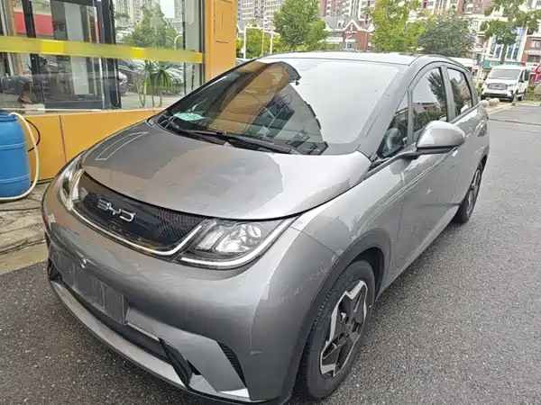 BYD Dolphin 2022