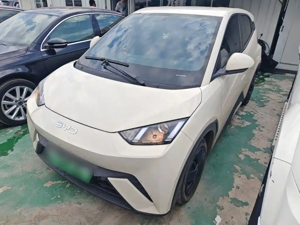 BYD Seagull 2024