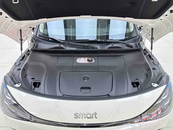 smart #1 2025