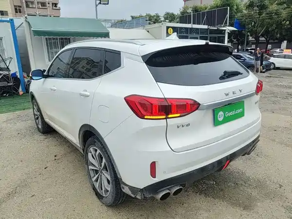 Wey VV6 2019