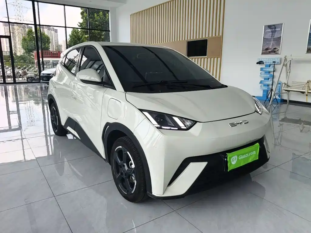 BYD Seagull 2024