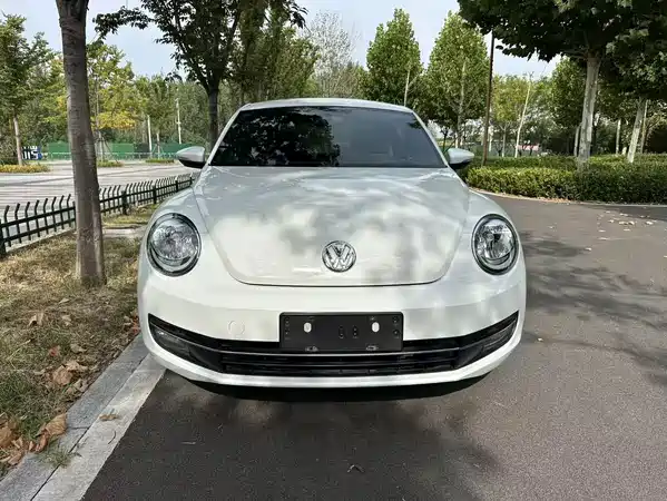 Volkswagen Beetle 2014