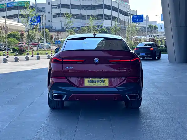 BMW X6 2021
