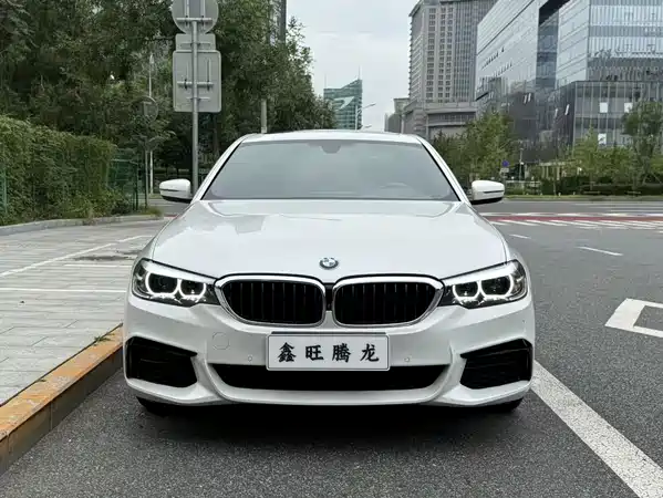 BMW 5 Series 2019