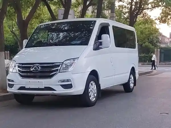 Maxus V80 2020