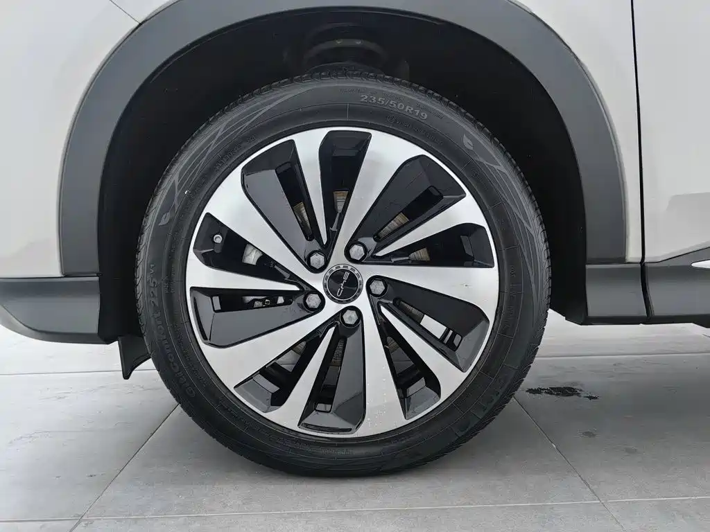 BYD Song PLUS New Energy 2024 — фото 17