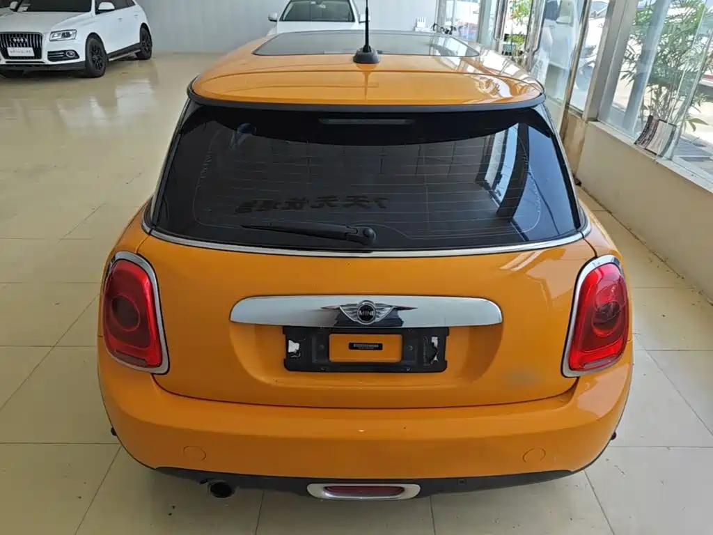 MINI MINI 2017