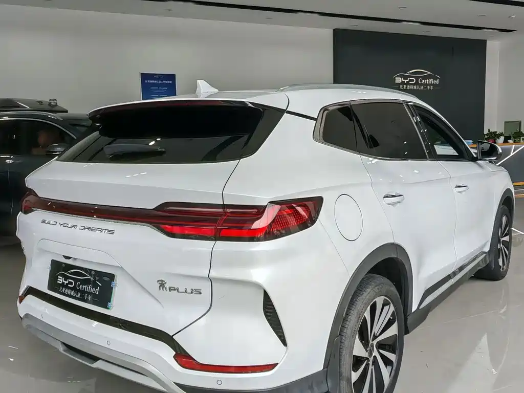 BYD Song PLUS New Energy 2024 — фото 4