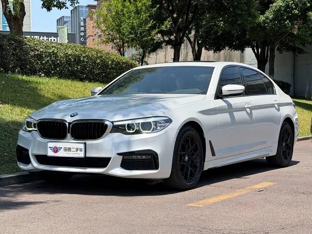 BMW 5 Series 2019