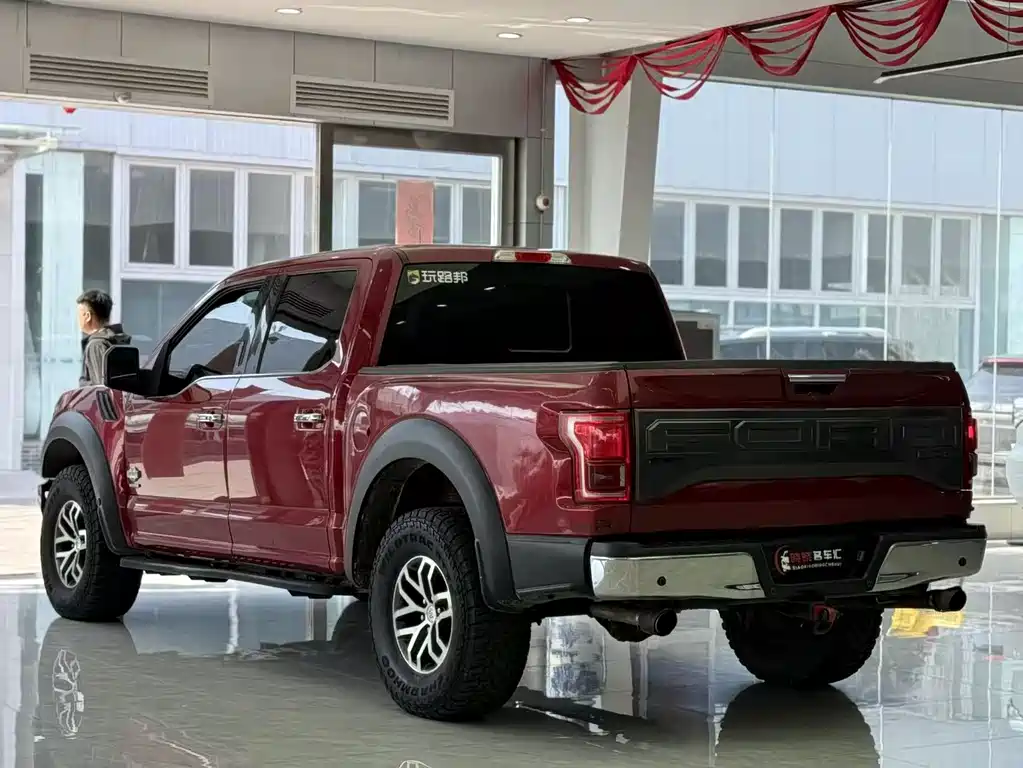 Ford F-150 Raptor 2016 — фото 9