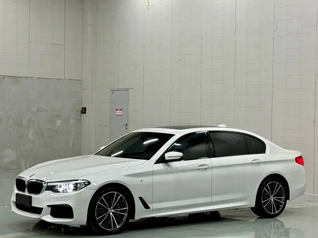 BMW 5 Series 2019
