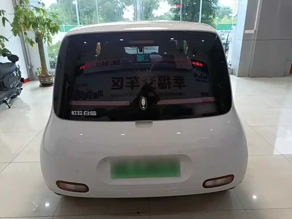 Ora White Cat 2022